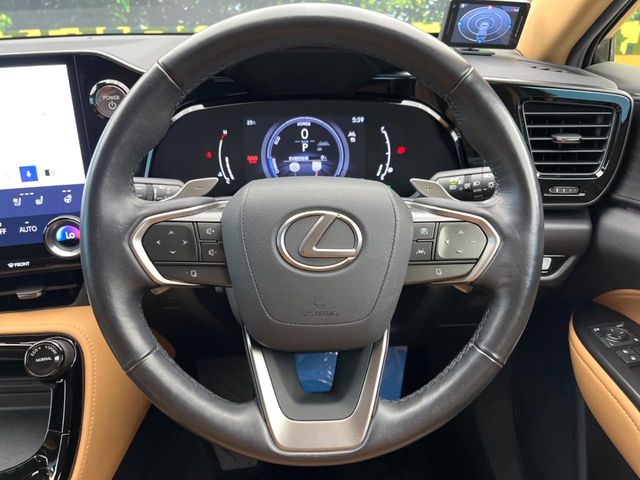Lexus NX 11
