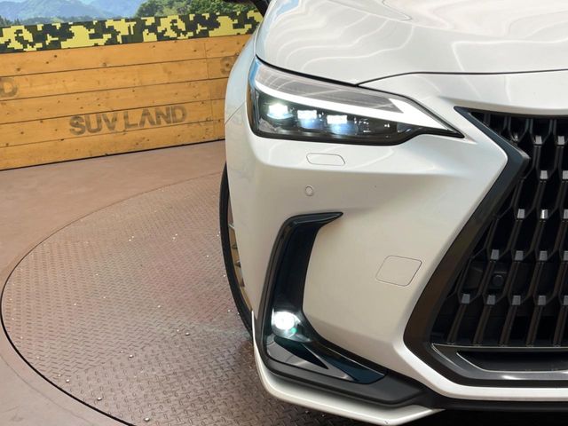Lexus NX 12