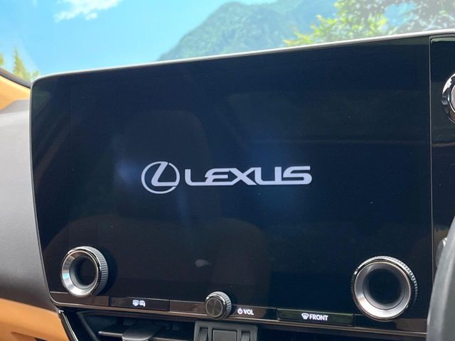 Lexus NX 4