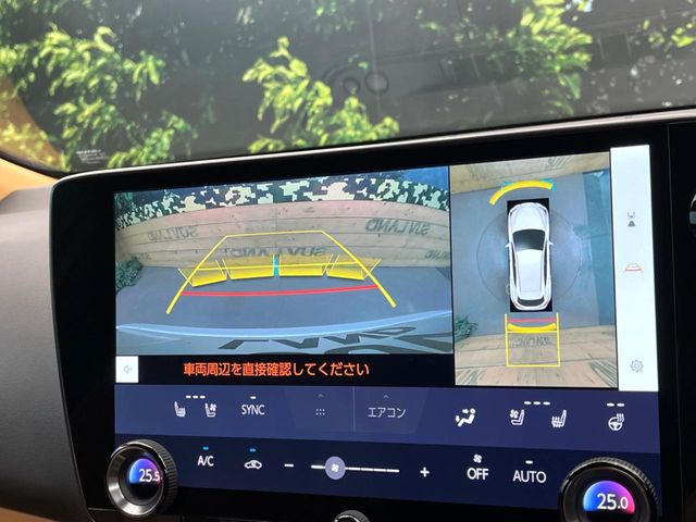 Lexus NX 5