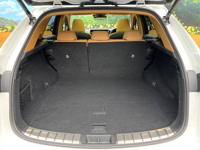 Lexus NX 10