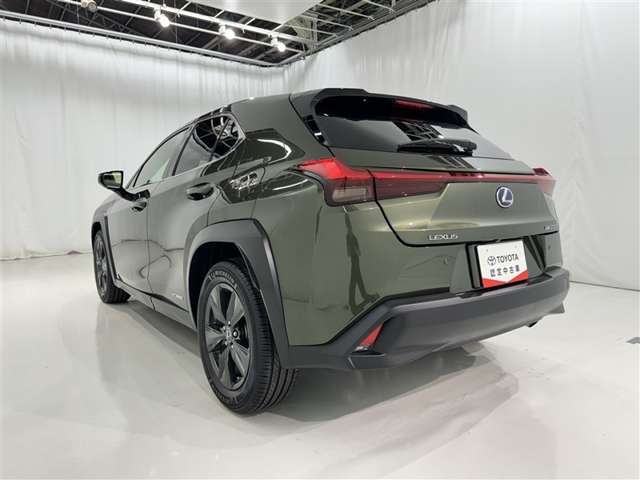 Lexus UX 6