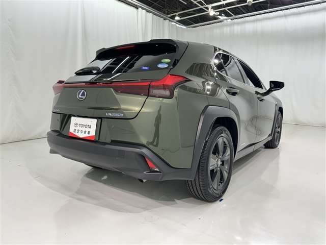 Lexus UX 7