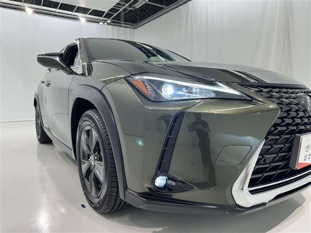 Lexus UX 8