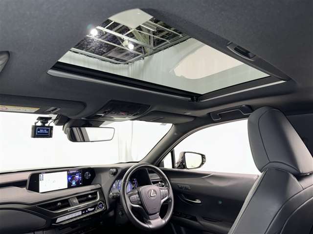 Lexus UX 10