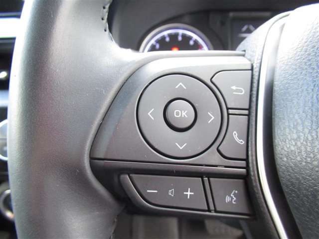 Toyota Harrier 12