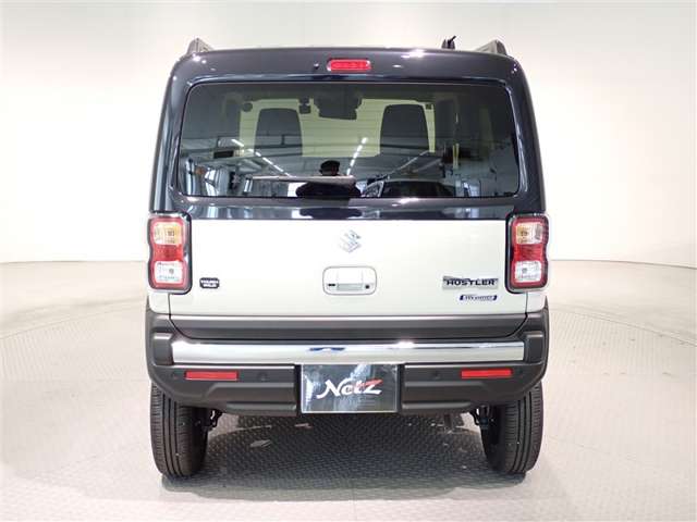 Suzuki Hustler 6