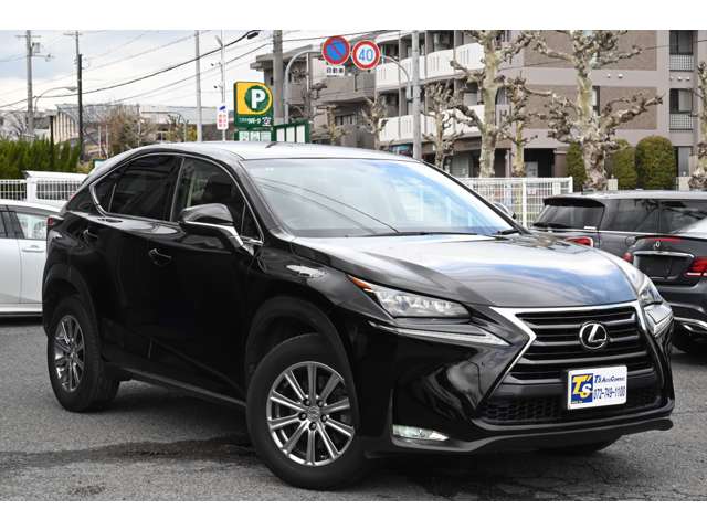 Lexus NX 11