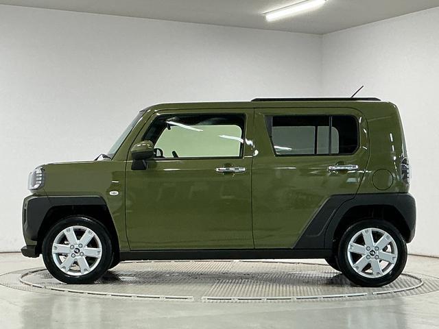 Daihatsu Taft 11