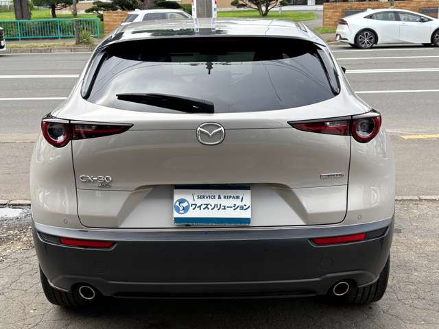 Mazda CX-30 6