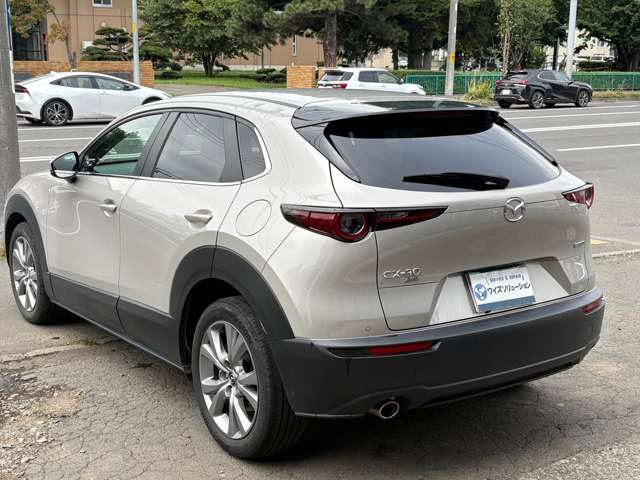 Mazda CX-30 7