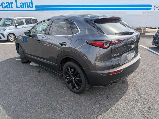 Mazda CX-30 11