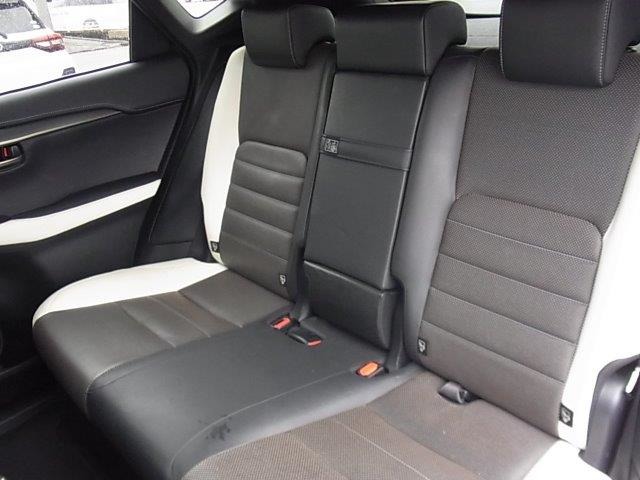 Lexus NX 4