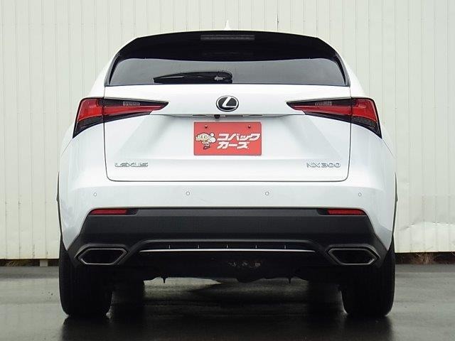 Lexus NX 7