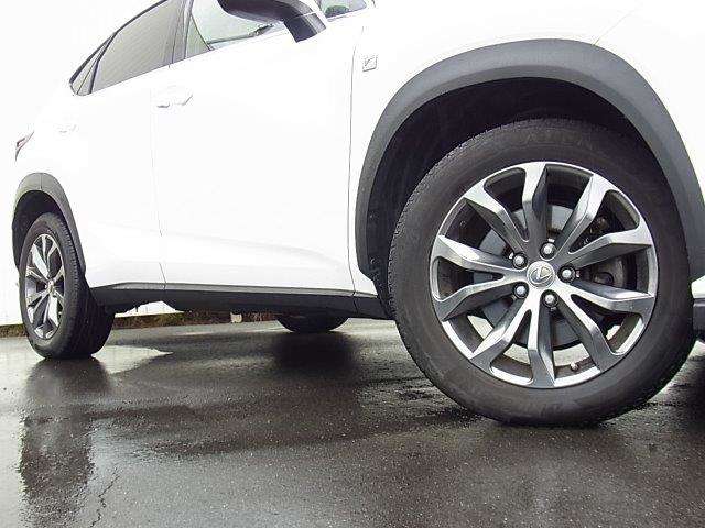 Lexus NX 10