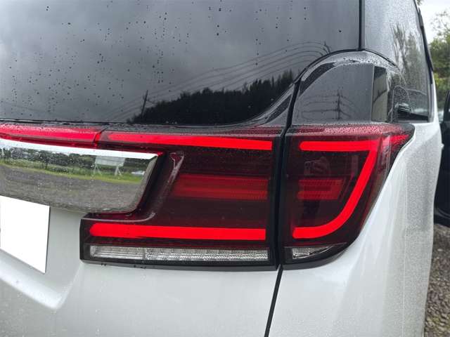Toyota Vellfire 11