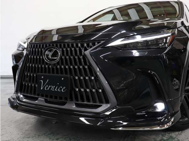 Lexus NX 11