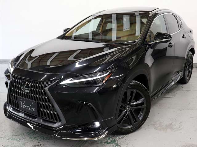 Lexus NX 2