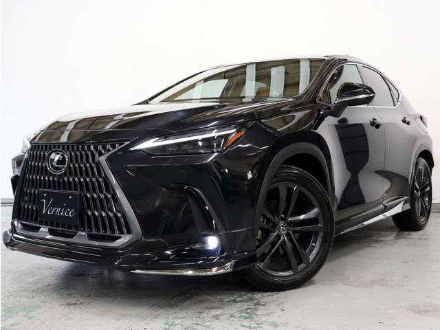 Lexus NX 3