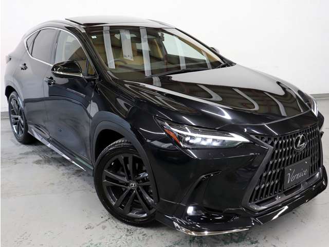 Lexus NX 4