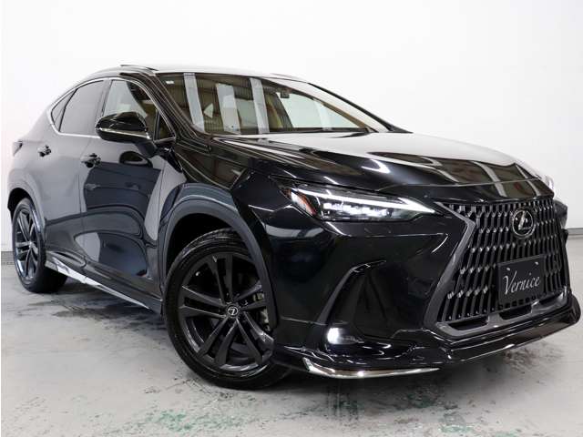Lexus NX 5