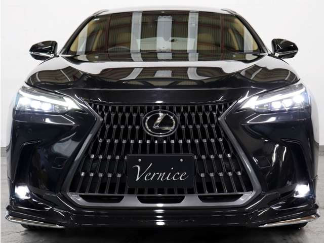 Lexus NX 6