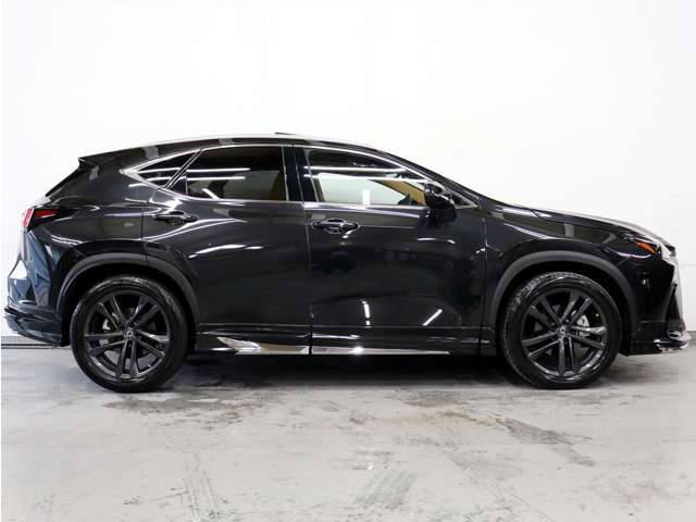 Lexus NX 8