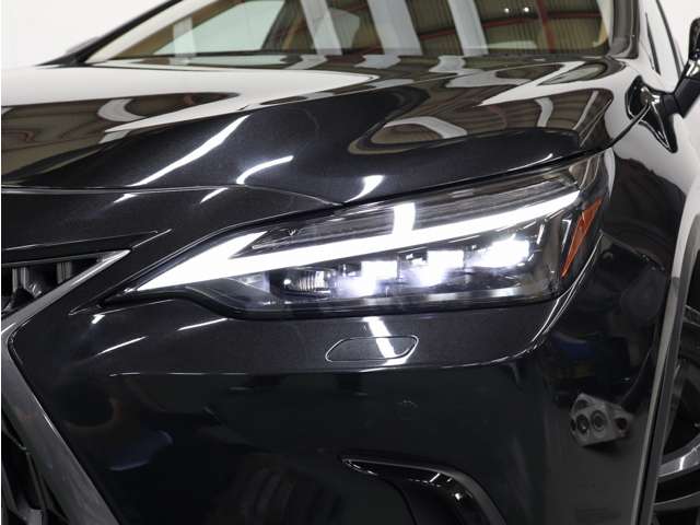 Lexus NX 10