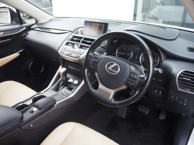 Lexus NX 12