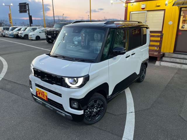 Mitsubishi Delica Mini 3