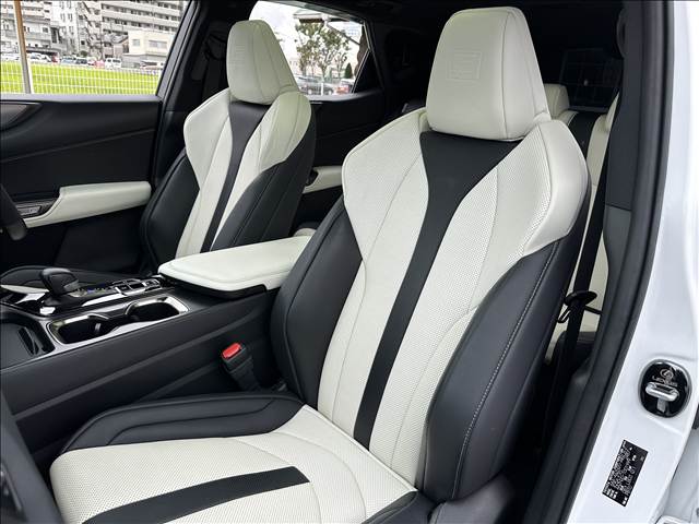 Lexus NX 6