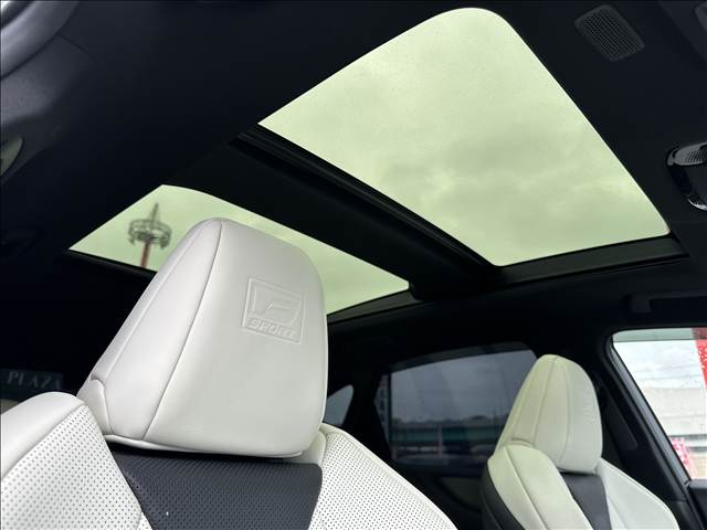 Lexus NX 10