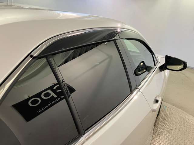 Lexus UX 12