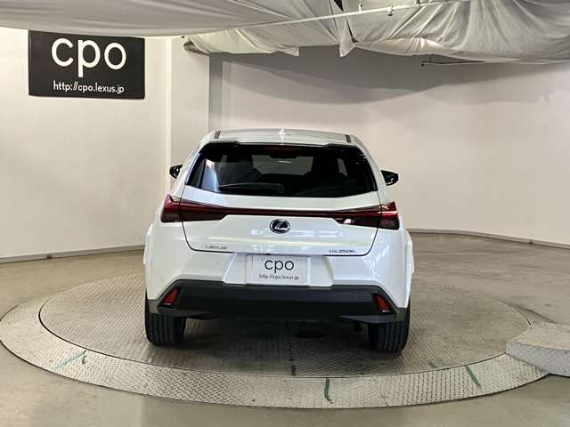 Lexus UX 9