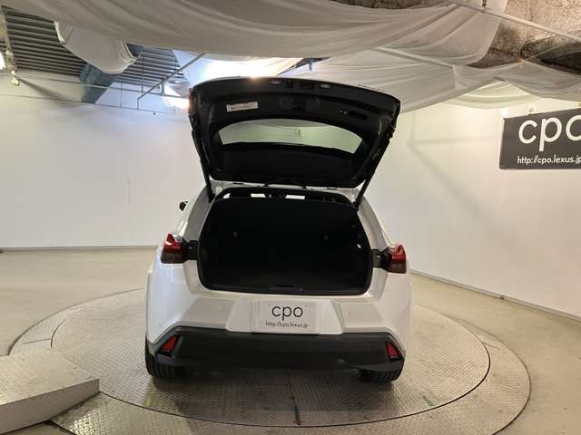 Lexus UX 10