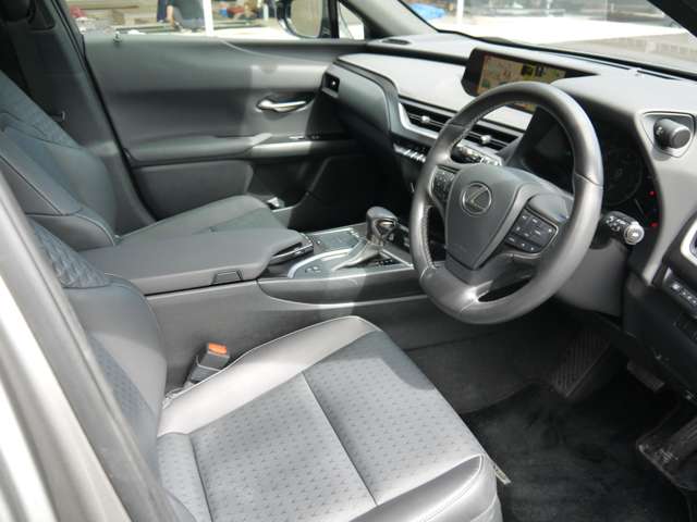 Lexus UX 12