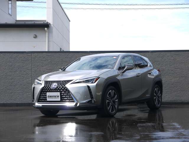 Lexus UX 5