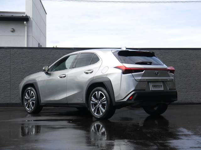 Lexus UX 8