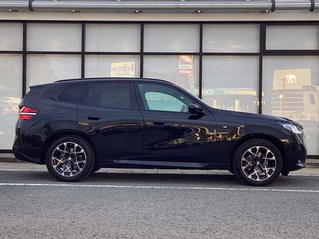 BMW X3 8