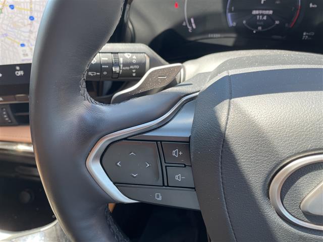 Lexus NX 12