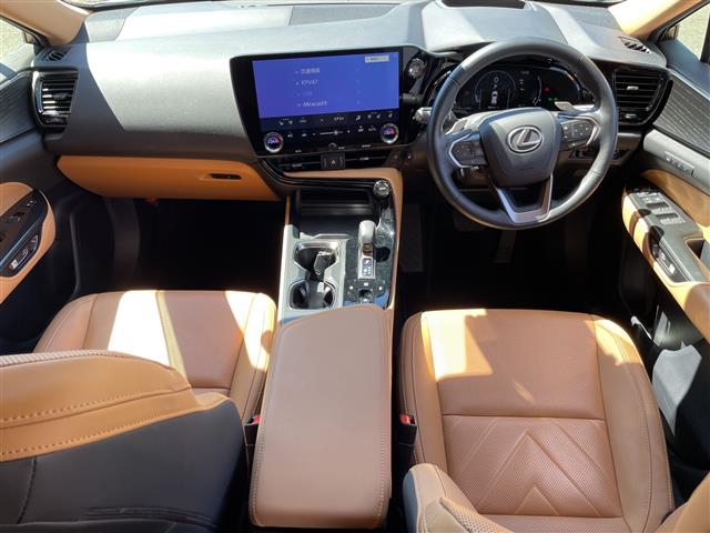 Lexus NX 9