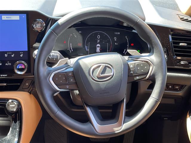 Lexus NX 10