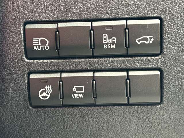 Lexus NX 12