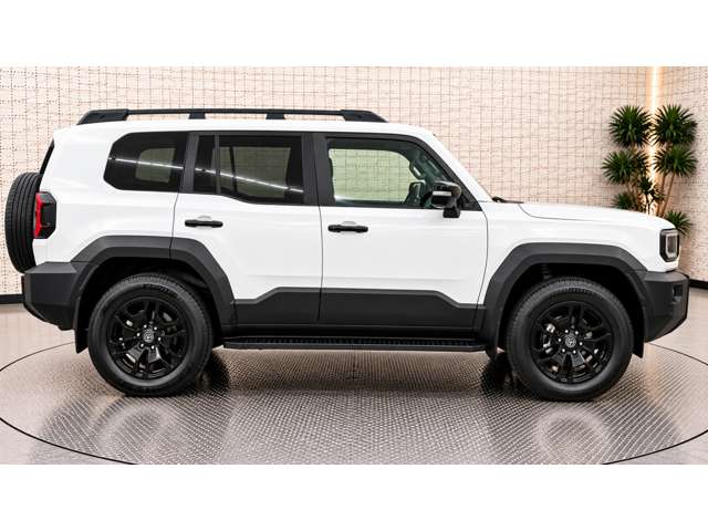 Toyota Land Cruiser FJ 6