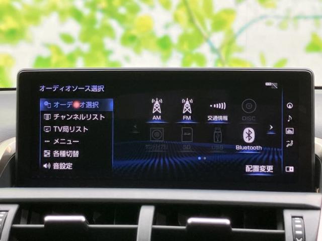 Lexus NX 12