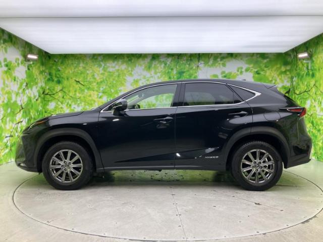 Lexus NX 5