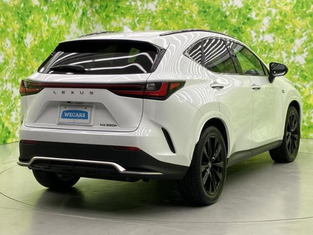 Lexus NX 6
