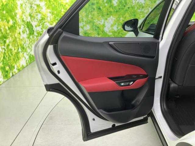 Lexus NX 9