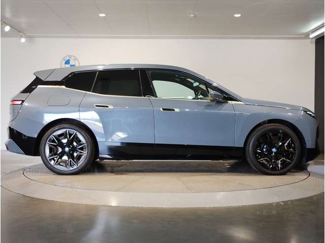 BMW iX 11
