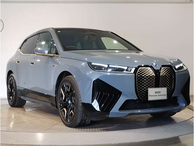 BMW iX 12